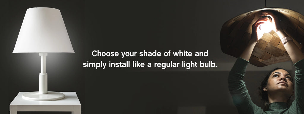 6 Pack Feit Electric Classic Glass Design 60W LED Bulbs – 800 Lumens, Choose Your Shade of White