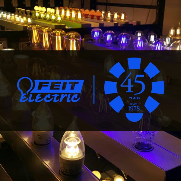 6 Pack Feit Electric Classic Glass Design 60W LED Bulbs – 800 Lumens, Choose Your Shade of White